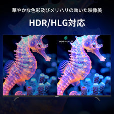 PHILIPS チューナーレステレビ 43型 PUH7700