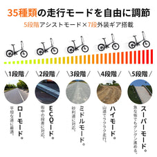 折りたたみ電動アシスト自転車 ERWAY-A05