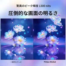 PHILIPS チューナーレステレビ 55型 MLED800