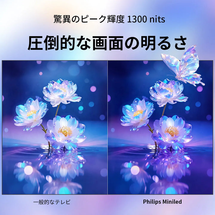 PHILIPS チューナーレステレビ 55型 MLED800