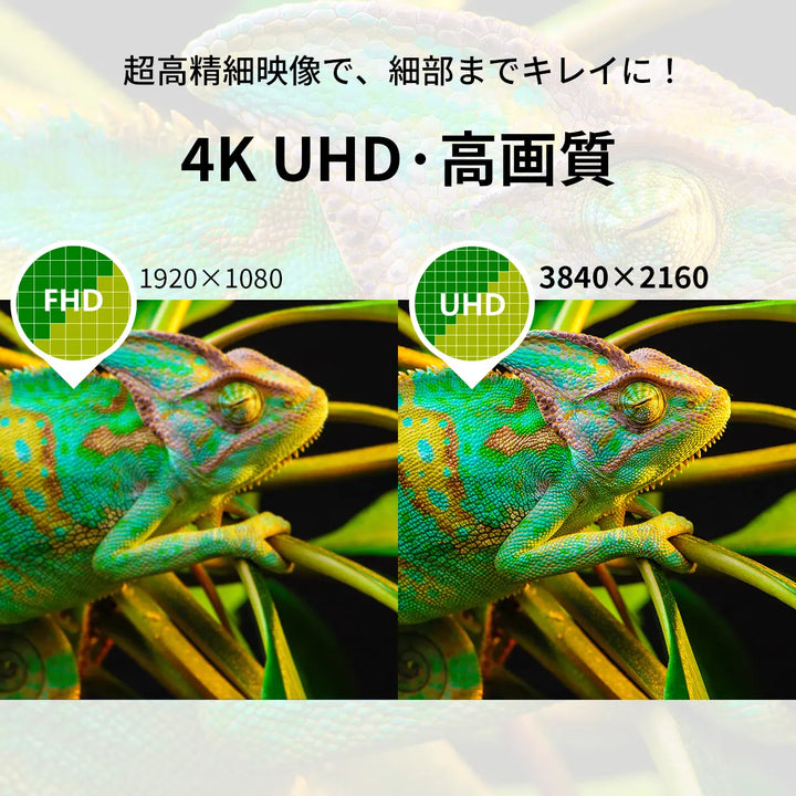 PHILIPS チューナーレステレビ 43型 PUH7700