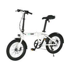 折りたたみ電動アシスト自転車 ERWAY A01