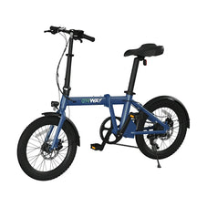 折りたたみ電動アシスト自転車 ERWAY A01