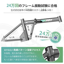 折りたたみ電動アシスト自転車 ERWAY A01