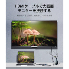 USB Type-C 多機能ハブ Philips