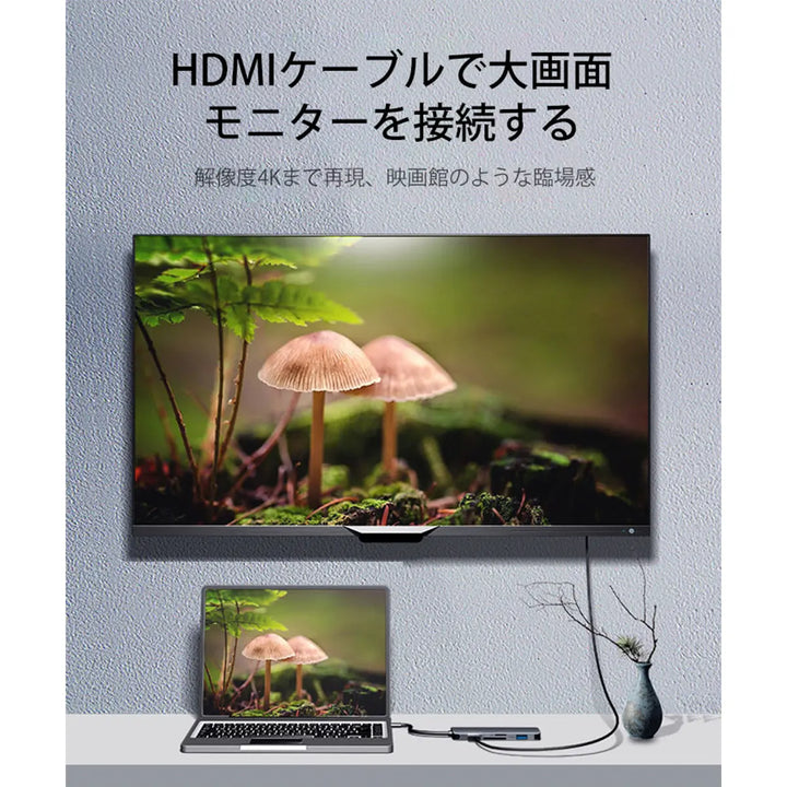 USB Type-C 多機能ハブ Philips