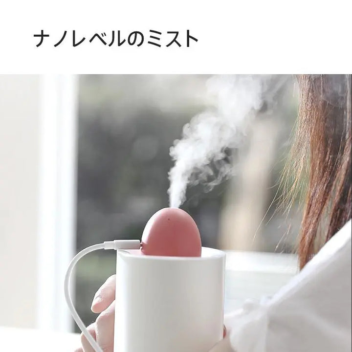 ポータブル加湿器 SOLOVE