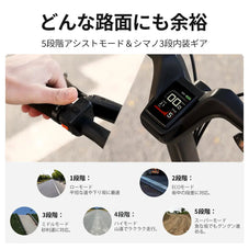 フルカ-ボン 電動自転車 ERWAY A06