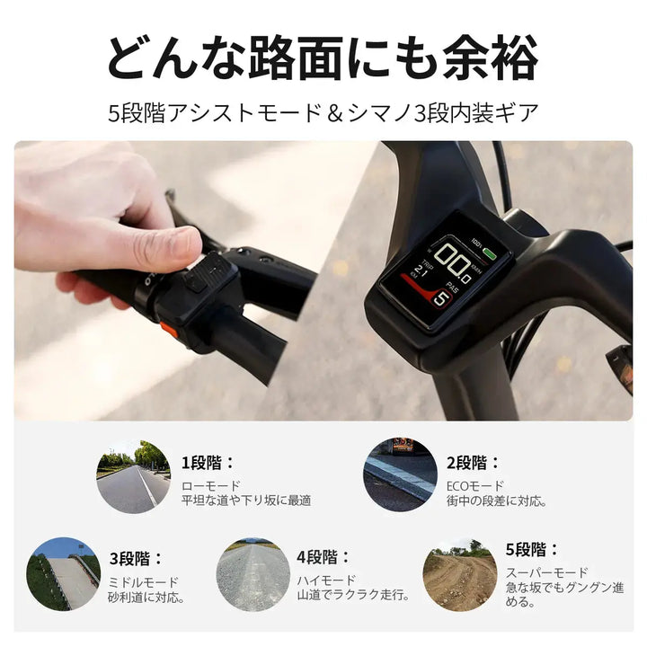 フルカ-ボン 電動自転車 ERWAY A06