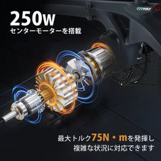 フルカ-ボン 電動自転車 ERWAY A06