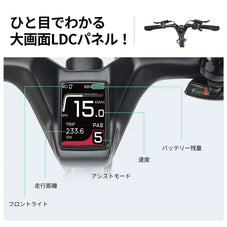 フルカ-ボン 電動自転車 ERWAY A06